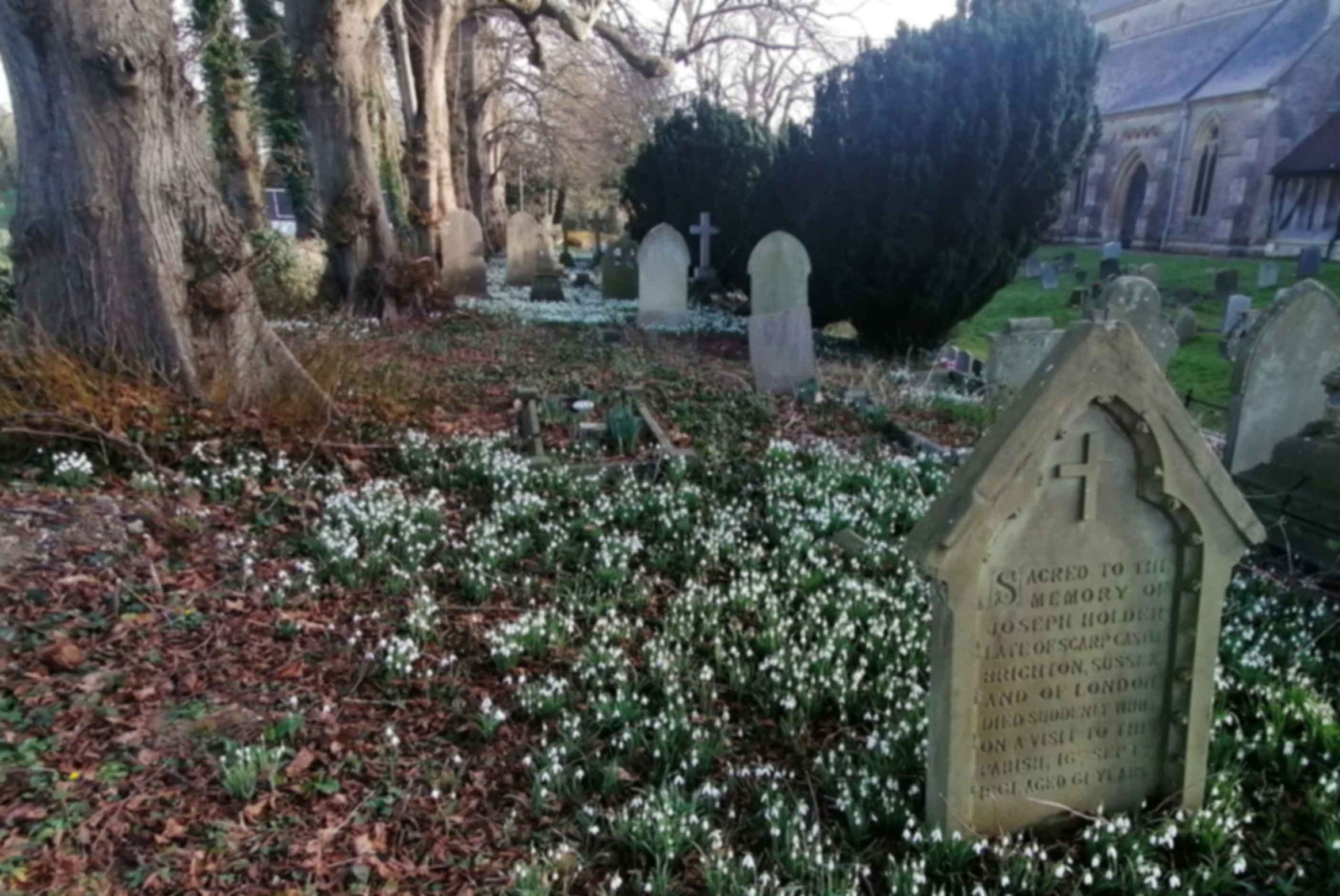 Highnam-Church-Graveyard